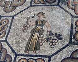 Grape mosaic